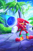 Sonic vs Knuckles by Billijo Freeze