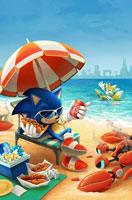 Sonic on the Beach, by Natalie Haines