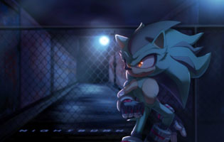 NiiGHTBURN Hedgehog Art